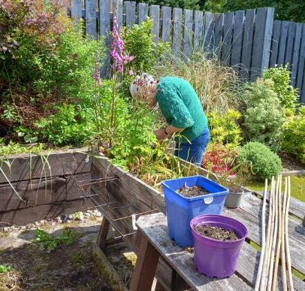 resident gardening