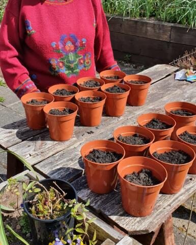 gardening pots
