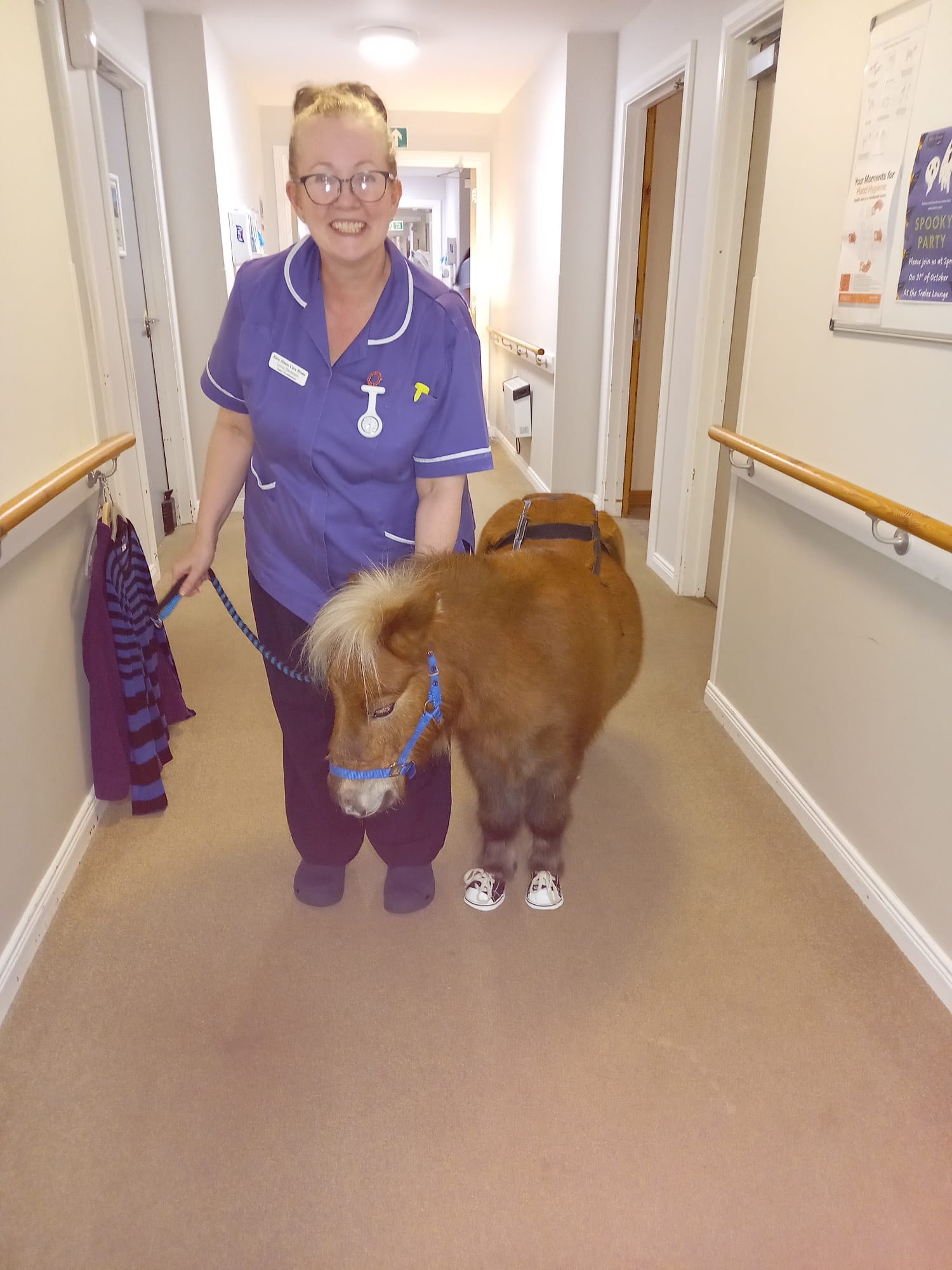 pony animal therapy