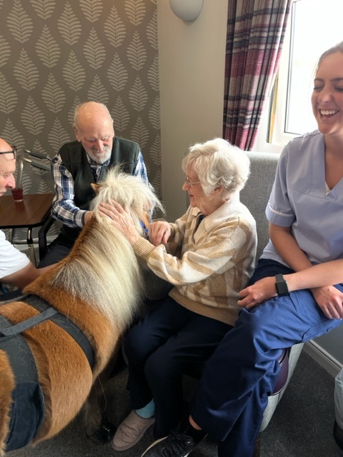 Residents Petting Shetland Pony