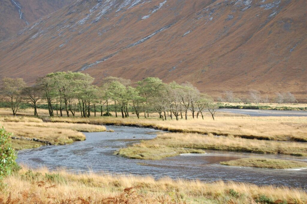 Loch Etive