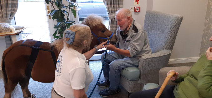 A therapy pony wearing protective trainers visiting a resident in their room, bringing smiles and sparking memories of past experiences with horses