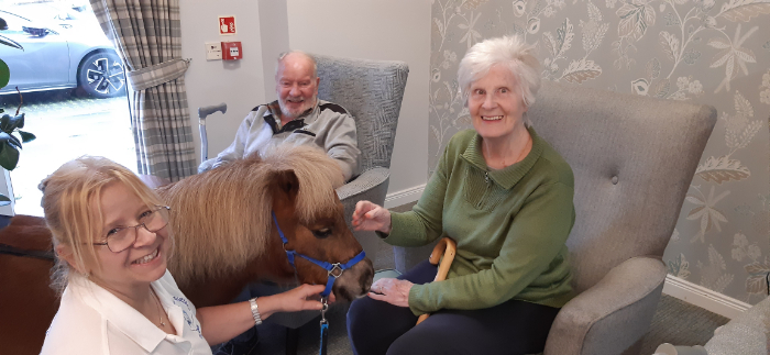 A therapy pony wearing protective trainers visiting a resident in their room, bringing smiles and sparking memories of past experiences with horses