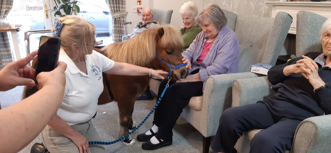 A therapy pony wearing protective trainers visiting a resident in their room, bringing smiles and sparking memories of past experiences with horses