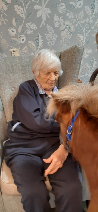 A therapy pony wearing protective trainers visiting a resident in their room, bringing smiles and sparking memories of past experiences with horses