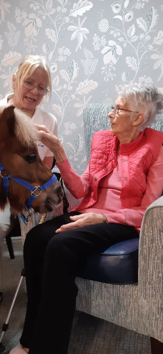 A therapy pony wearing protective trainers visiting a resident in their room, bringing smiles and sparking memories of past experiences with horses