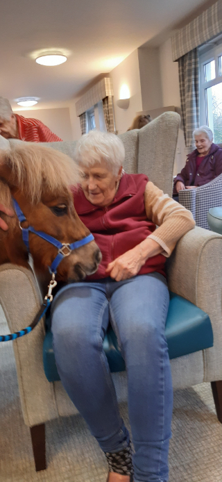 A therapy pony wearing protective trainers visiting a resident in their room, bringing smiles and sparking memories of past experiences with horses