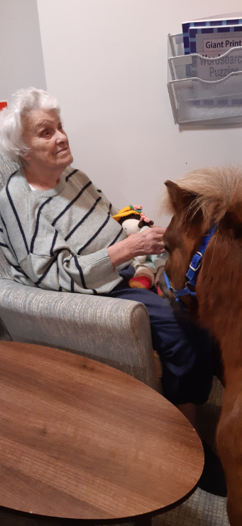 A therapy pony wearing protective trainers visiting a resident in their room, bringing smiles and sparking memories of past experiences with horses