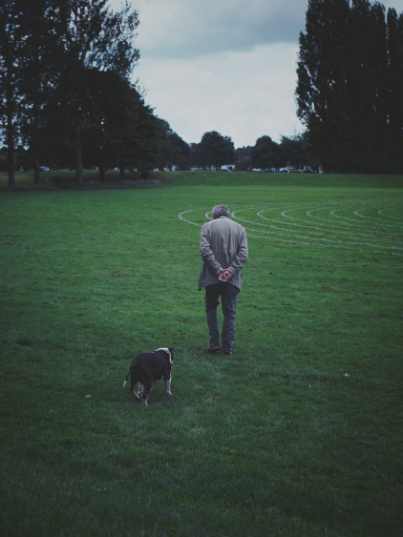 Therapy pets for care homes