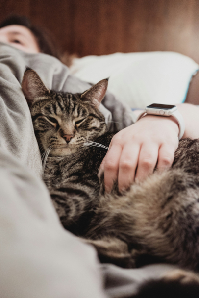 Therapy pets for care homes