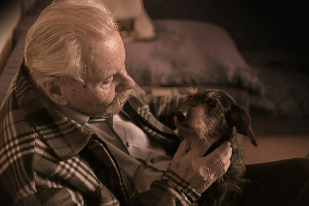 Therapy pets for care homes